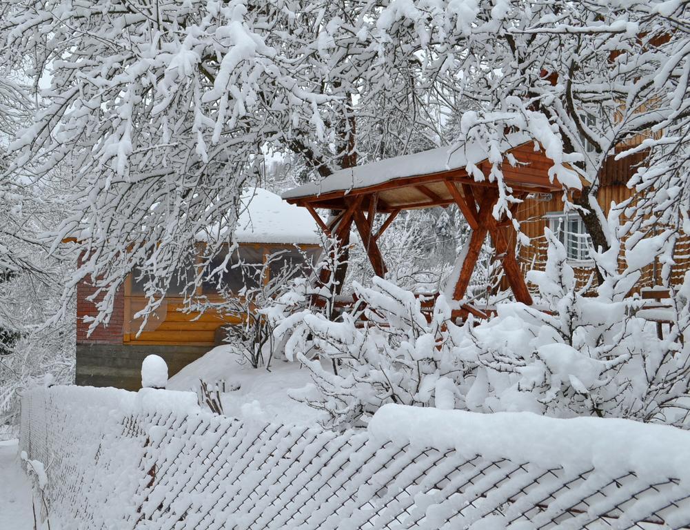 Басейн З Підігрівом! Batkivska Svitlitsa New Без Господарів Slavske Exterior photo