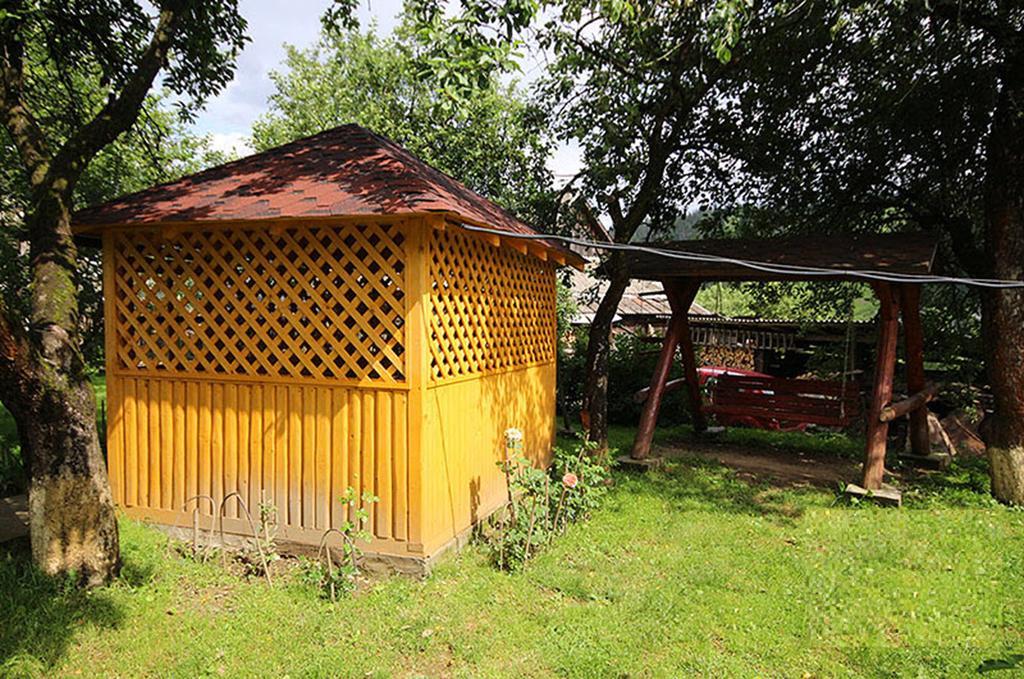Басейн З Підігрівом! Batkivska Svitlitsa New Без Господарів Slavske Exterior photo